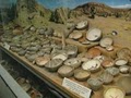Geronimo Springs Museum image 3