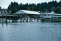 Gig Harbor Marina image 2