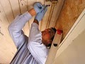 Glenview Mold Service image 3
