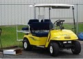 Go Daddy Golf & Custom Carts, Inc. image 9