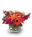 HOUSTON LOCAL FLORIST image 5