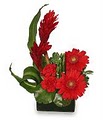 HOUSTON LOCAL FLORIST image 7