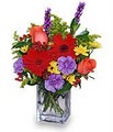 HOUSTON LOCAL FLORIST image 10
