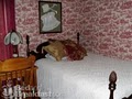 Harrigan House Bed & Breakfast image 4