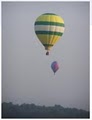 Has Anyone Seen My Balloon image 3