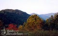 Hawk & Ivy Country Retreat image 4