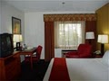 Holiday Inn Express Hotel Branson-Green Mountain Drive image 9