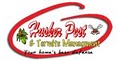 Husker Pest & Termite Management image 1