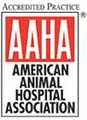 Iron Mountain Animal Hospital image 2