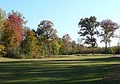 Jackson National Golf Course image 2