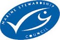 Joe's Fish Market logo