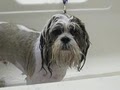 Kelly's Underground Dog Grooming image 5
