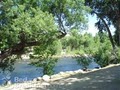 Kern River Inn image 8