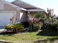 LAWN MAINTENANCE, LANDSCAPE SERVICES, IRRIGATION SARASOTA, LAKEWOOD RANCH image 5