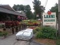 Lanni Orchards image 3