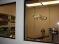 Las Vegas Animal Emergency Hospital image 7