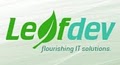 LeafDev logo