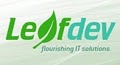 LeafDev image 1