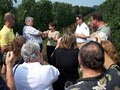 Long Island Wine Tours image 5