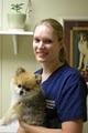 Longwood Animal Hospital & Pet image 1
