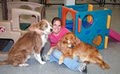 Loveland Dog Club image 5