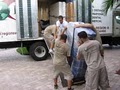 Miami Beach Local, Long Distance, and International Movers - Regions Moving image 7