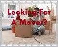 Miami Moving Company - Movers image 10