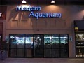 Modern Aquarium image 1