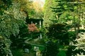 Mount Auburn Cemetery image 1