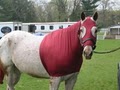 NJ Horse Tack image 1