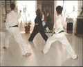 Nabi Su Martial Arts & Wellness Center image 3