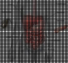 Natural Wellness image 2