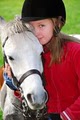 New Traditions Riding Academy, LLC image 2