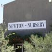 Newton Nursery Austin image 2
