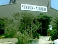 Newton Nursery Austin image 3
