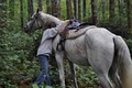 Open Air Trail Rides - Horseback Riding & Trail Riding image 2