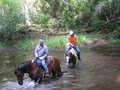 Open Air Trail Rides - Horseback Riding & Trail Riding logo