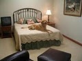 Orrville Pet Spa & Resort image 2