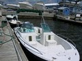 Ozona Shores Vip Boat Club image 1