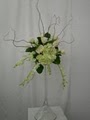 PETALS AND STEMS FLORIST image 8