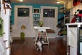 Pawsh Dog Boutique image 3