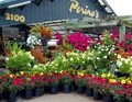 Perino's Garden Center logo