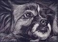 Pet Portraits, Dog Portraits by Stephanie Grimes image 4