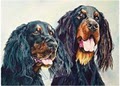 Pet Portraits, Dog Portraits by Stephanie Grimes logo