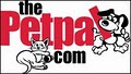 Petpal Pet Sitting Services image 2