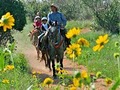 Pikes Peak Country Attractions Association image 2