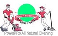 Powerpro Carpet Cleaning image 2