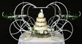 Precious Memories Wedding Rentals image 4
