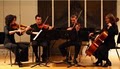 Primrose Strings - String Quartet, Trio, Duet and musicians in Cincinnati image 2