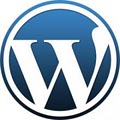 Pro Web Designers  - Website Designers in Dallas image 10